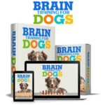 Brain Training For Dogs