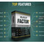 Volatility Factor at a glance